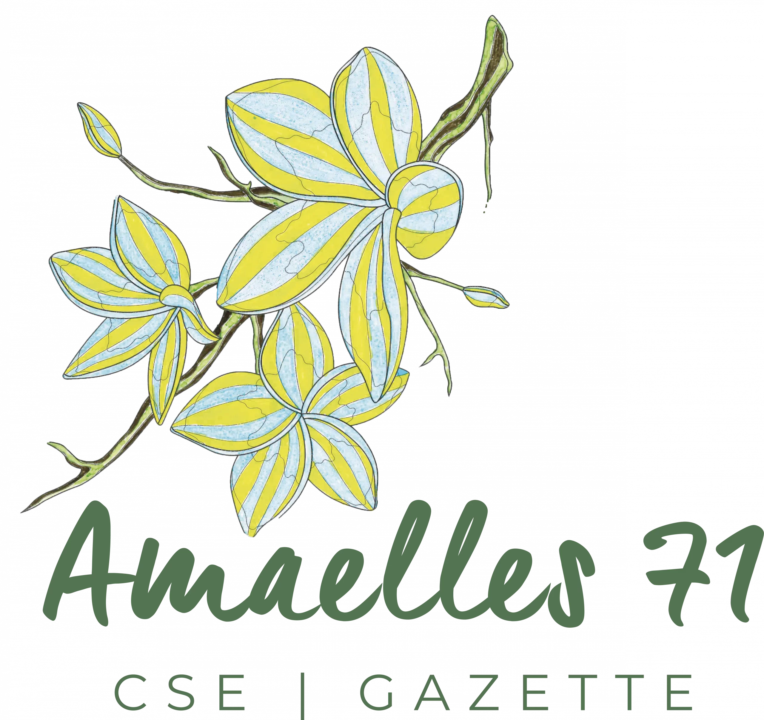Logo Amaelles 71